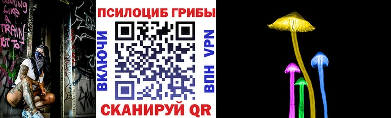 где купить наркоту  Чёрмоз  Галлюциногенные грибы Magic Shrooms 